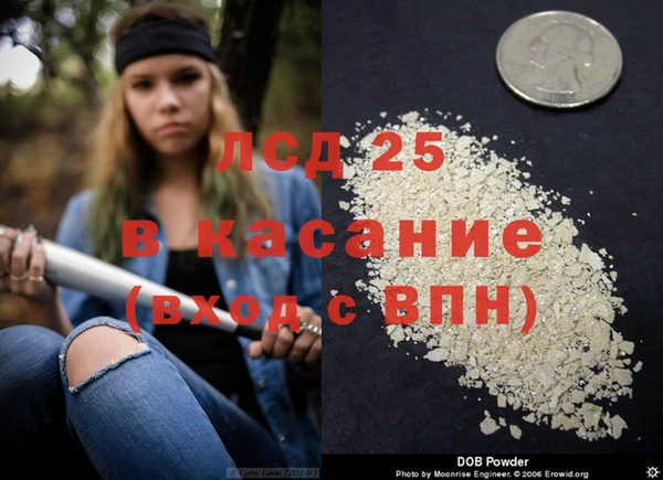 стаф Болхов