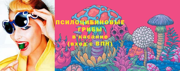 амф Надым