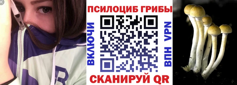Псилоцибиновые грибы мухоморы  Купить  Мичуринск 